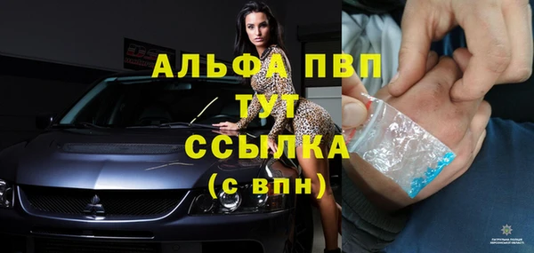шишки Нягань