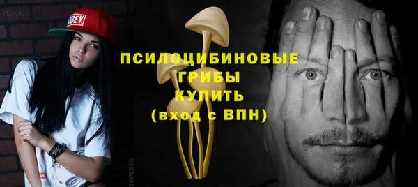 ешки Новозыбков