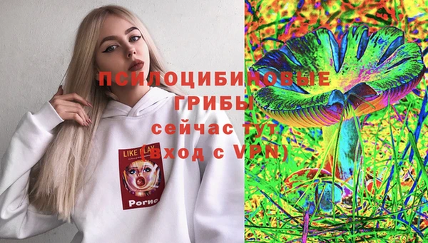 ешки Новозыбков