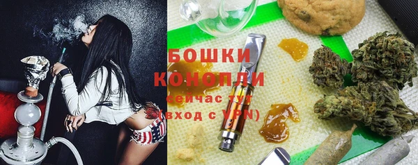 ешки Новозыбков