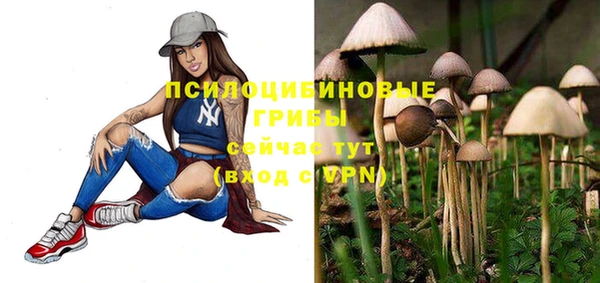 COCAINE Няндома