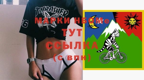 шишки Нягань